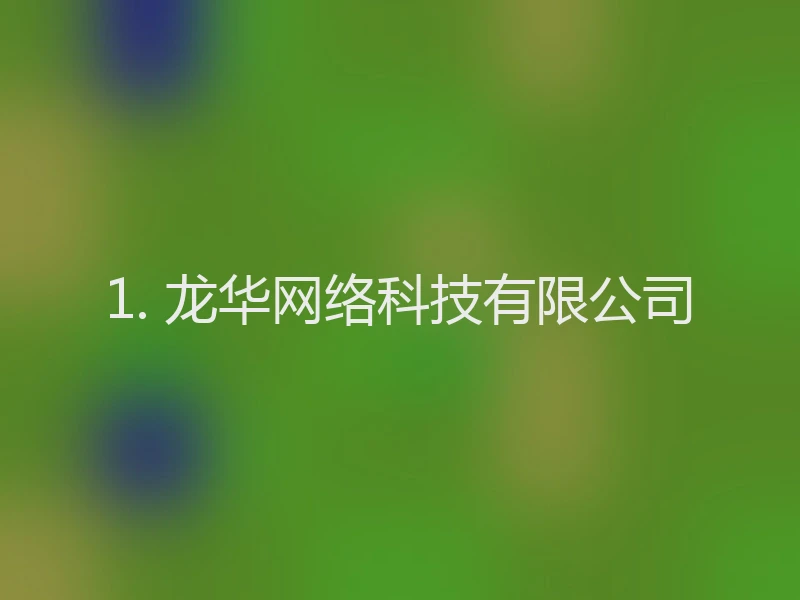 1. 龙华网络科技有限公司