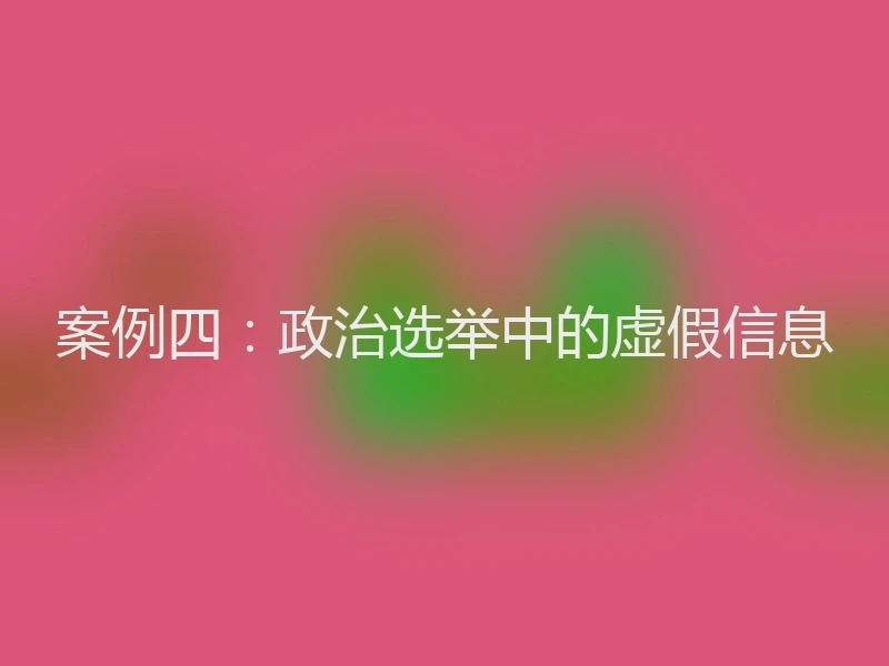 案例四：政治选举中的虚假信息