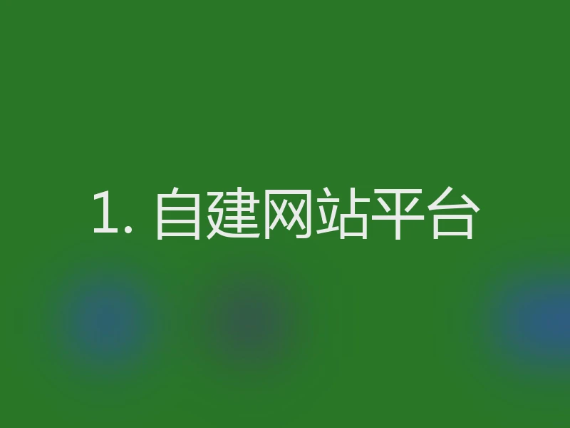 1. 自建网站平台
