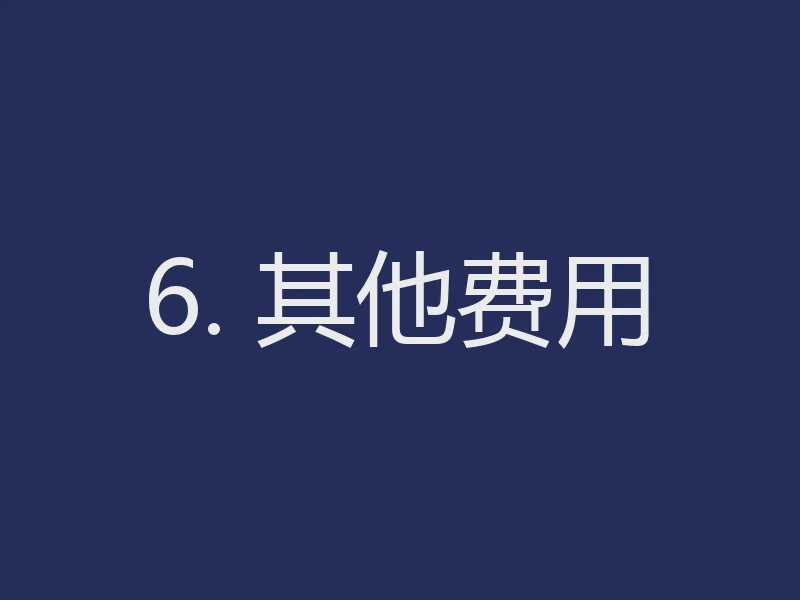 6. 其他费用