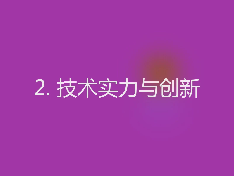 2. 技术实力与创新