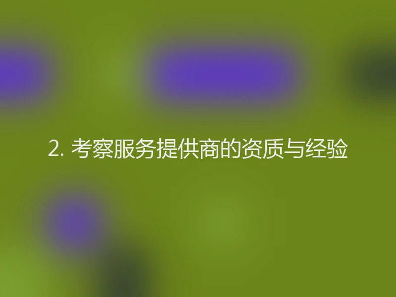 2. 考察服务提供商的资质与经验