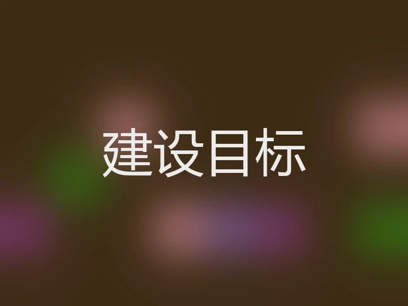 建设目标
