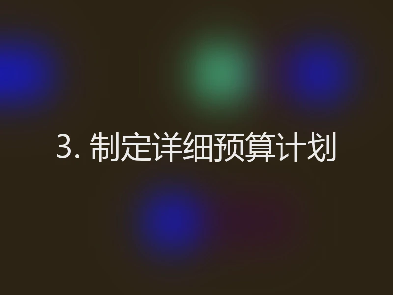 3. 制定详细预算计划