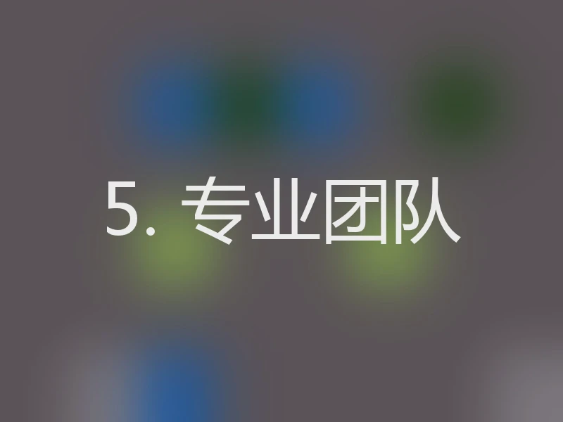 5. 专业团队