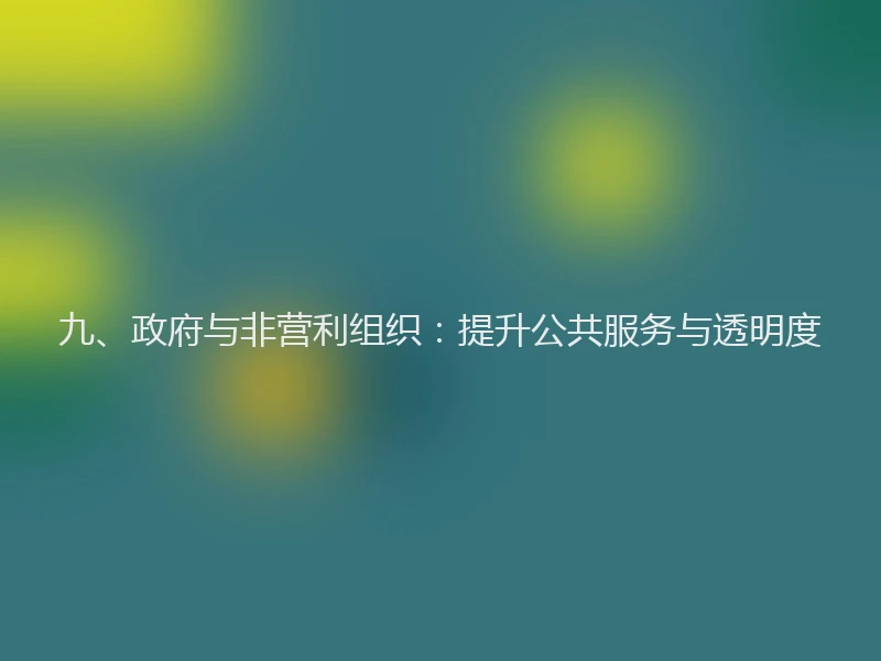 九、政府与非营利组织：提升公共服务与透明度