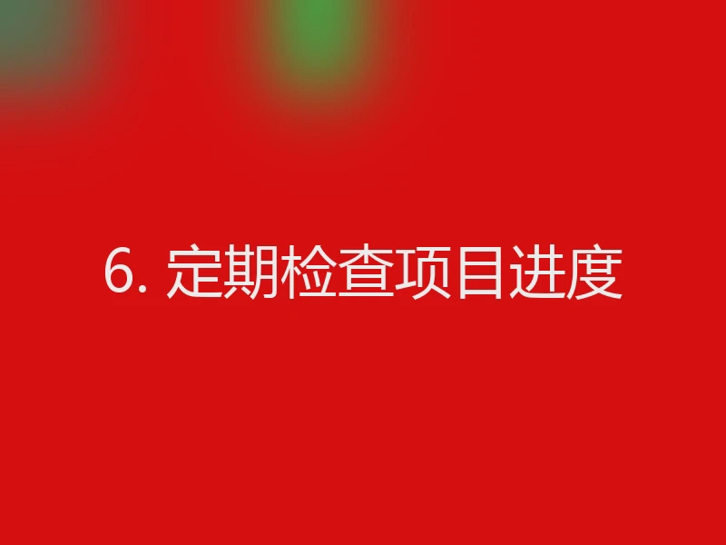 6. 定期检查项目进度