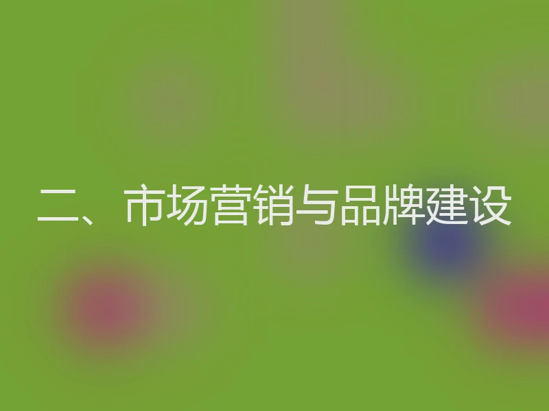 二、市场营销与品牌建设