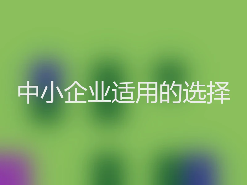 中小企业适用的选择