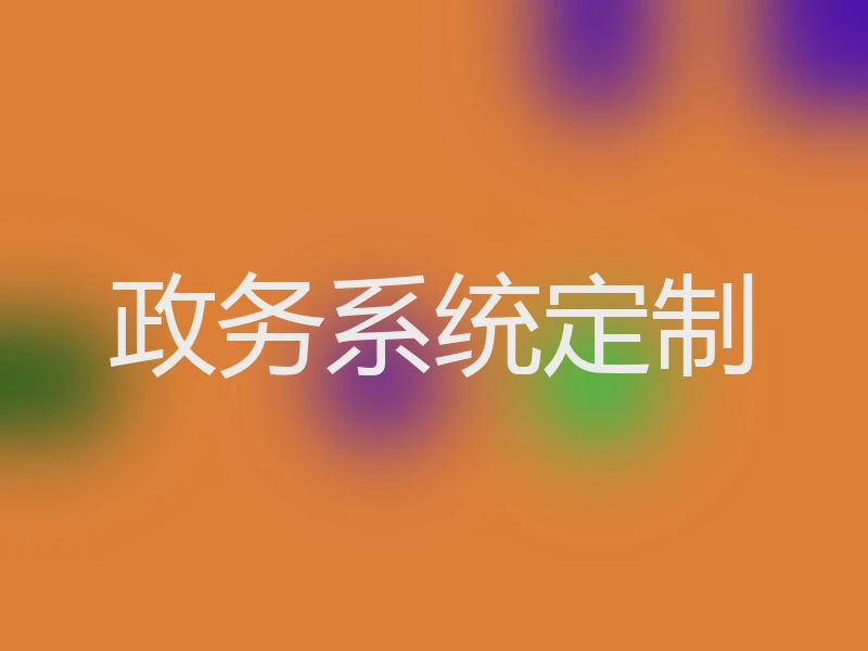政务系统定制