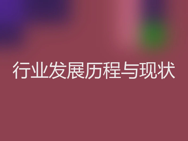 行业发展历程与现状