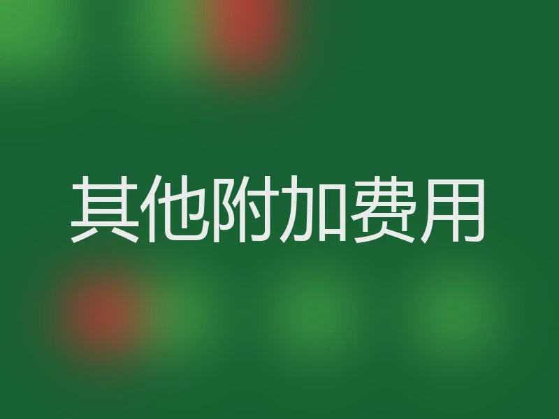 其他附加费用