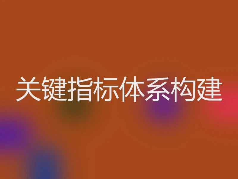 关键指标体系构建