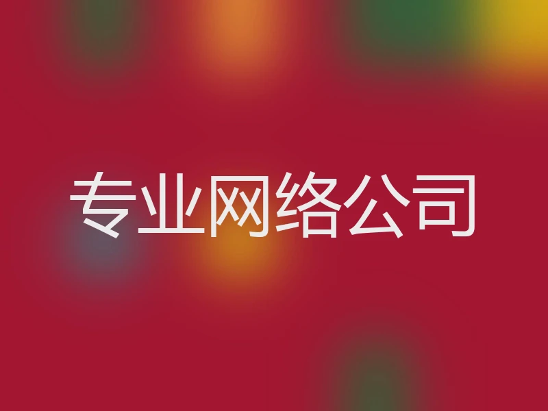 专业网络公司