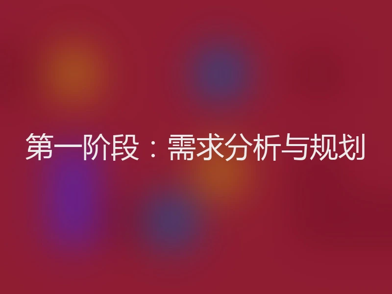 第一阶段：需求分析与规划