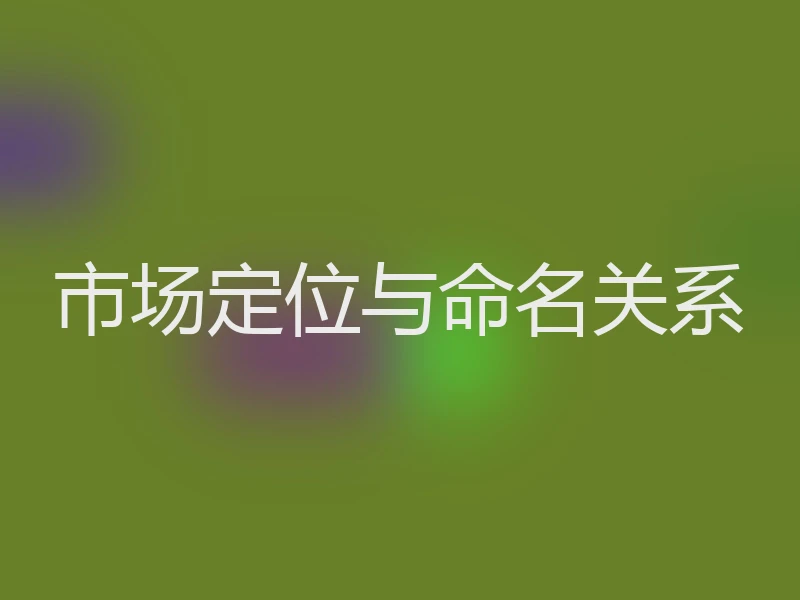 市场定位与命名关系