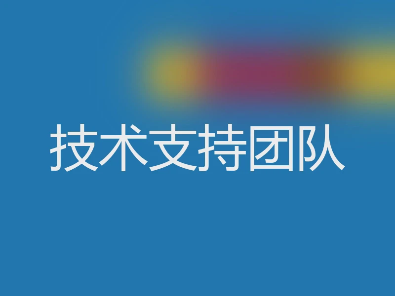 技术支持团队