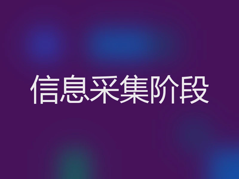 信息采集阶段