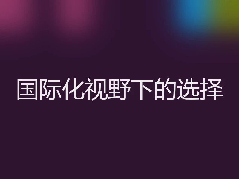 国际化视野下的选择