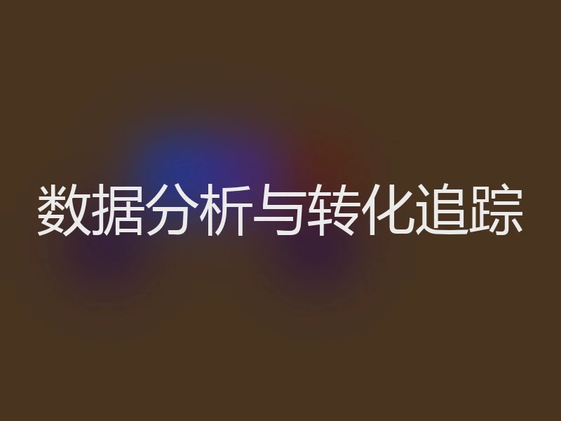 数据分析与转化追踪
