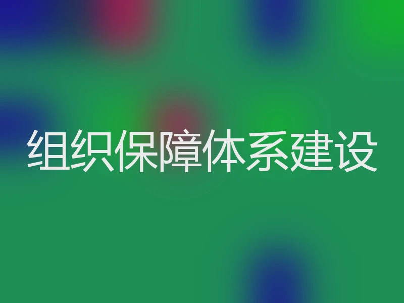 组织保障体系建设