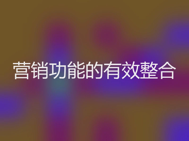 营销功能的有效整合