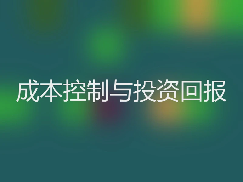 成本控制与投资回报