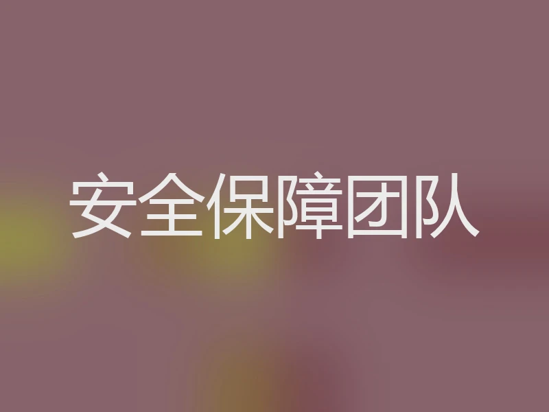 安全保障团队