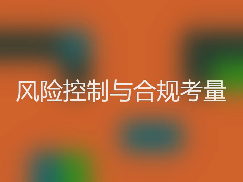 风险控制与合规考量