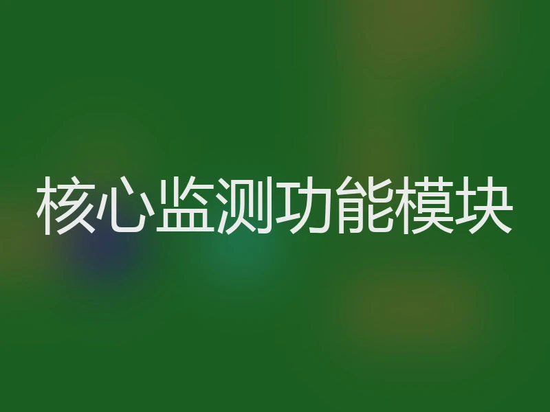 核心监测功能模块