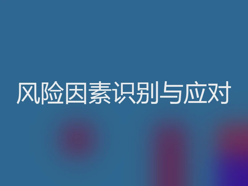 风险因素识别与应对