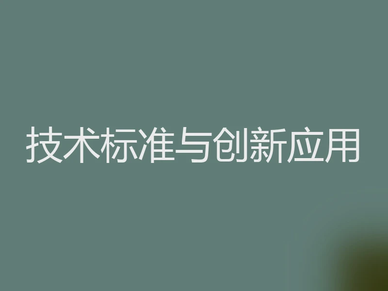 技术标准与创新应用