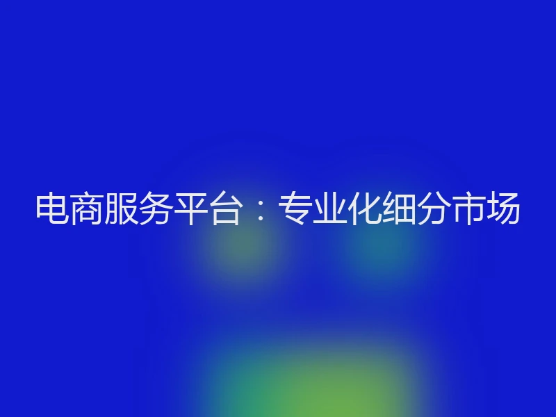 电商服务平台：专业化细分市场