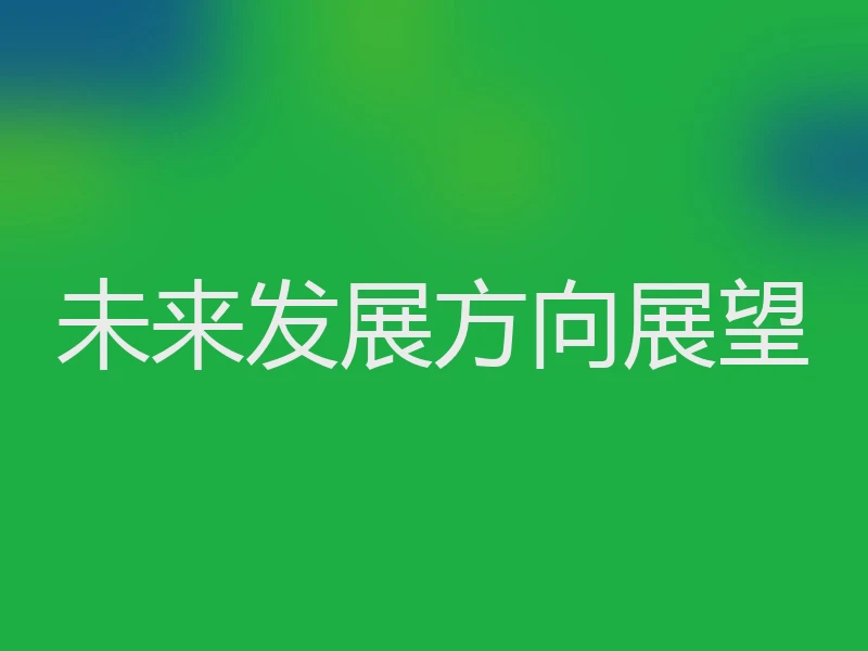 未来发展方向展望