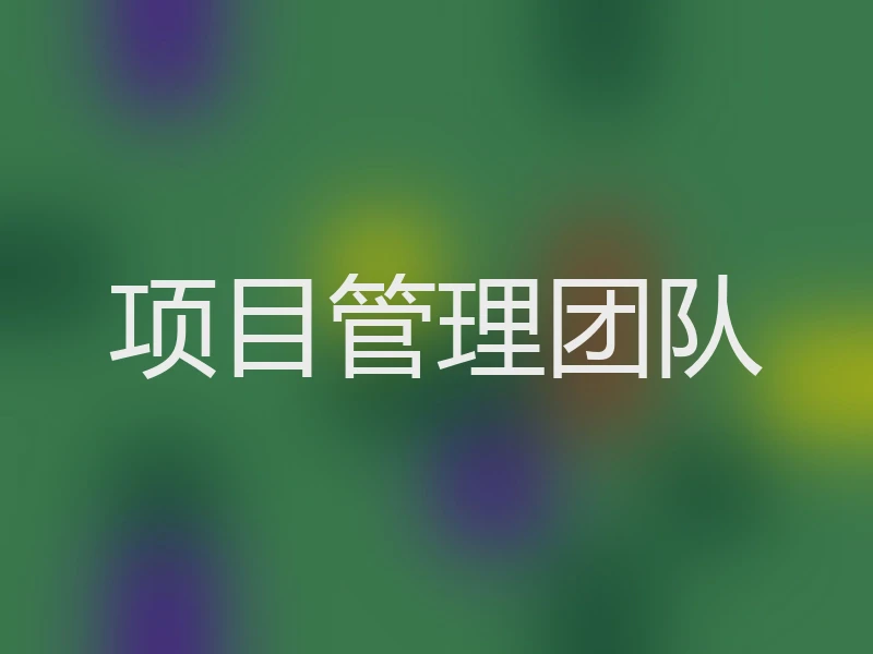 项目管理团队