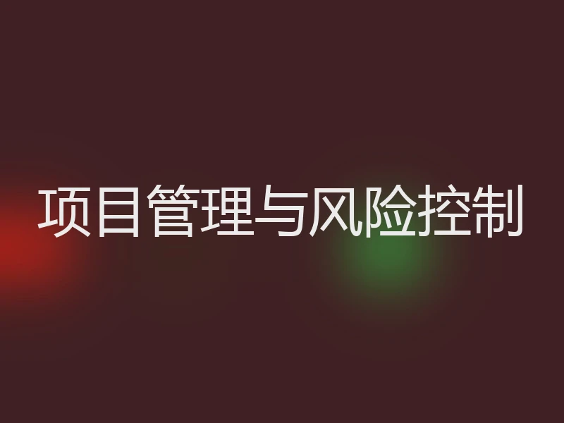 项目管理与风险控制