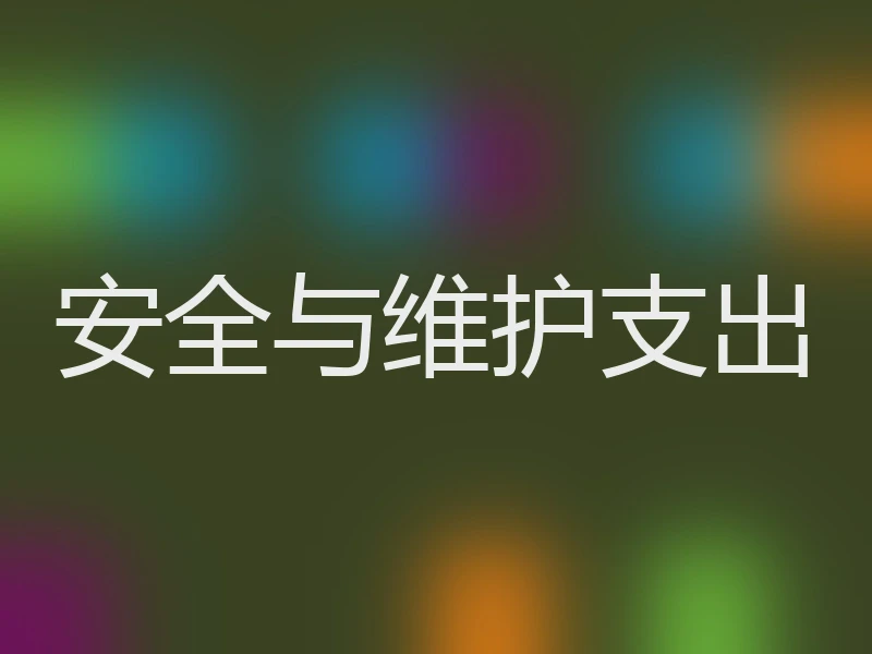 安全与维护支出