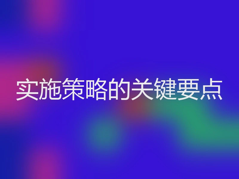 实施策略的关键要点