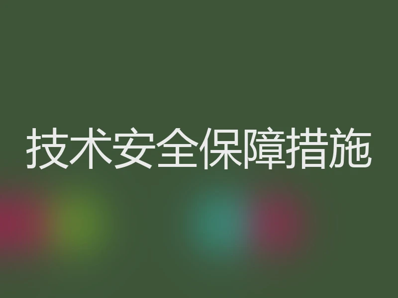 技术安全保障措施