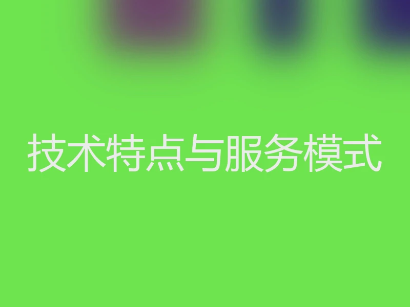 技术特点与服务模式