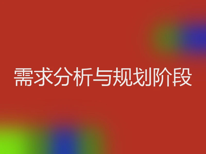 需求分析与规划阶段