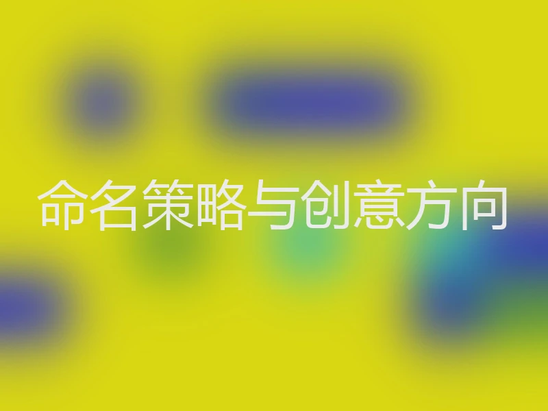 命名策略与创意方向