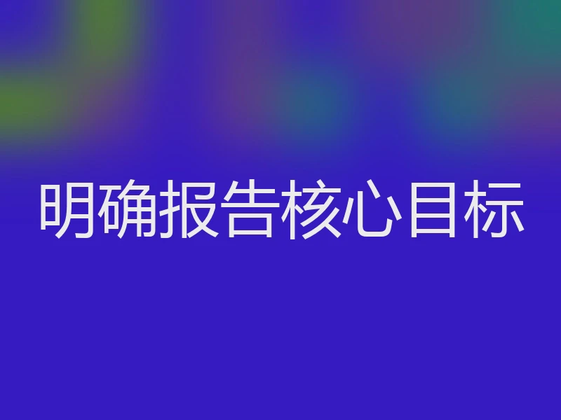 明确报告核心目标