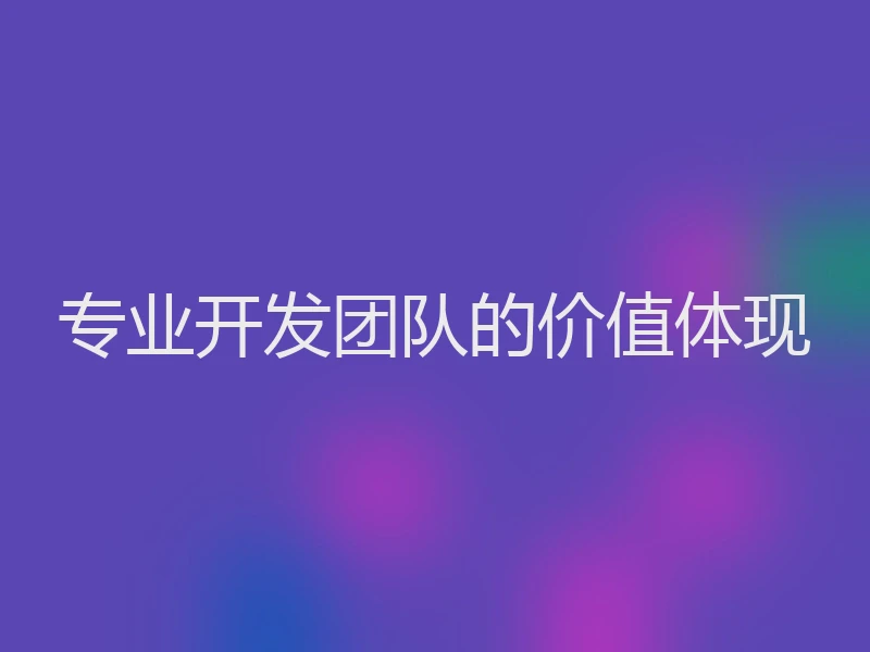 专业开发团队的价值体现