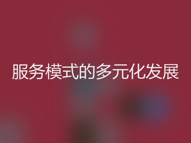 服务模式的多元化发展