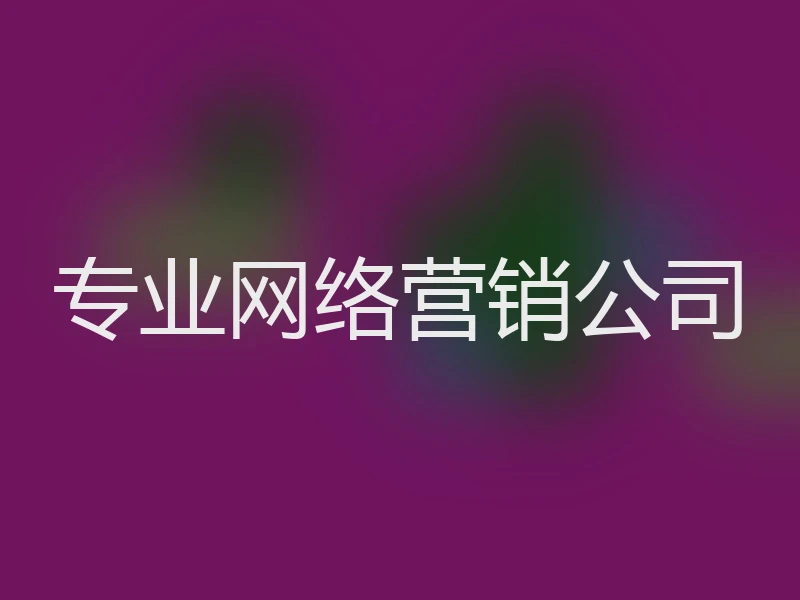 专业网络营销公司