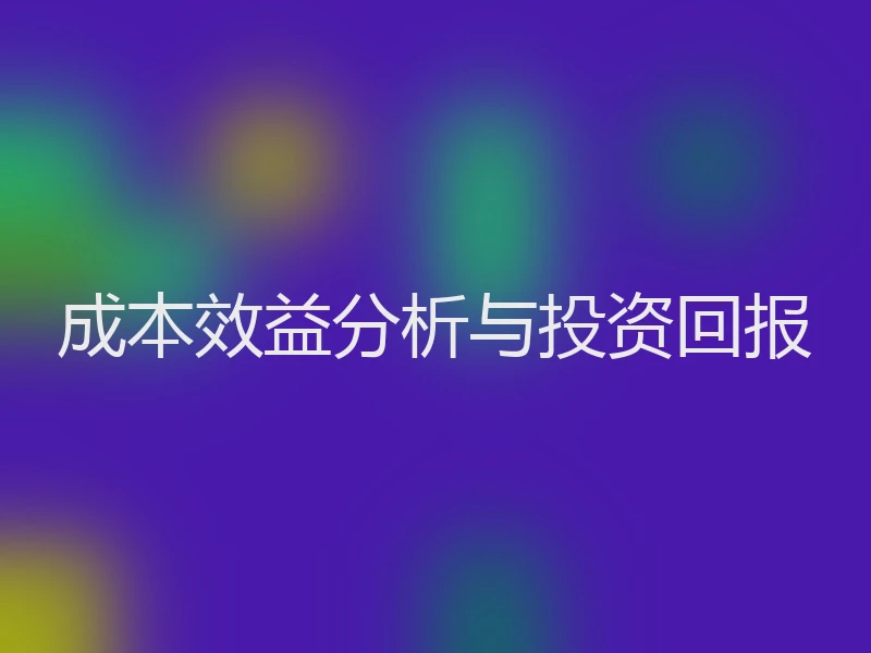成本效益分析与投资回报