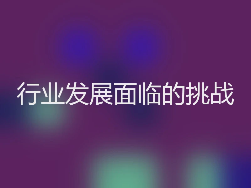 行业发展面临的挑战