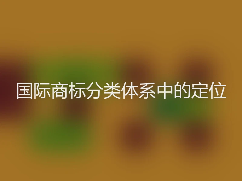 国际商标分类体系中的定位