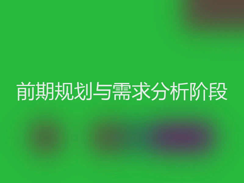 前期规划与需求分析阶段